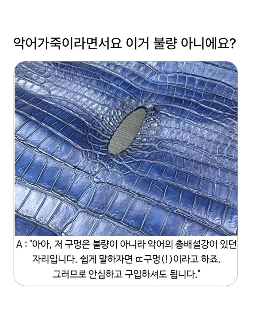 불량 악어 가죽