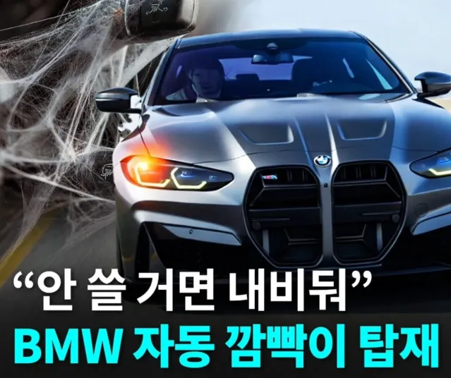 깜빡이좀.jpg 양카 이미지에 대한 BMW의 대처.JPG