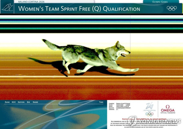 동계올림픽 참가한 나즈굴