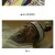 조선시대 분노조절장애가 심했던 어느 궁녀 이야기