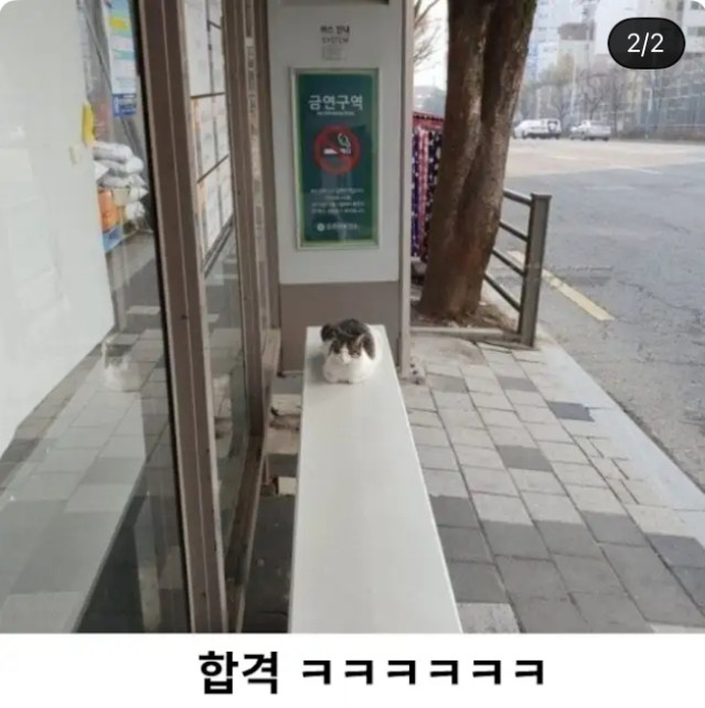 버스정류장 발열의자 성능검증