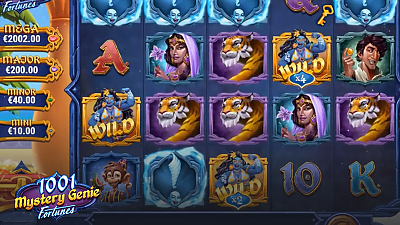 1001 미스터리 지니 포춘스