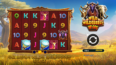 Wild Wildebeest Wins