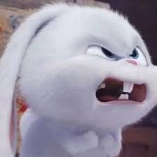 cab670ded03201a5a86541106db1f9ba_1764249670_4793.jpg cab670ded03201a5a86541106db1f9ba_1764249670_4793.jpg