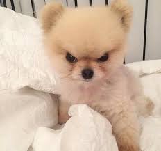 2701f26a263823c34c64d9a609e883d4_1765804872_6436.jpg