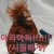 플 안정 구간 활용