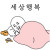 주말 용돈 벌이 성공 ㅅㅅ