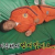 겜도 안풀리는데