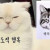 오늘은 조용히 이겼다