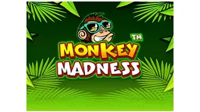 원숭이의 광란™