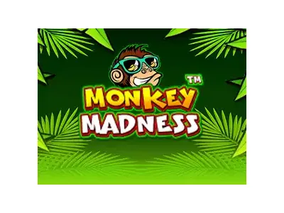 원숭이의 광란™