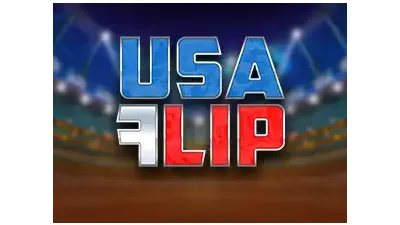 USA 플립